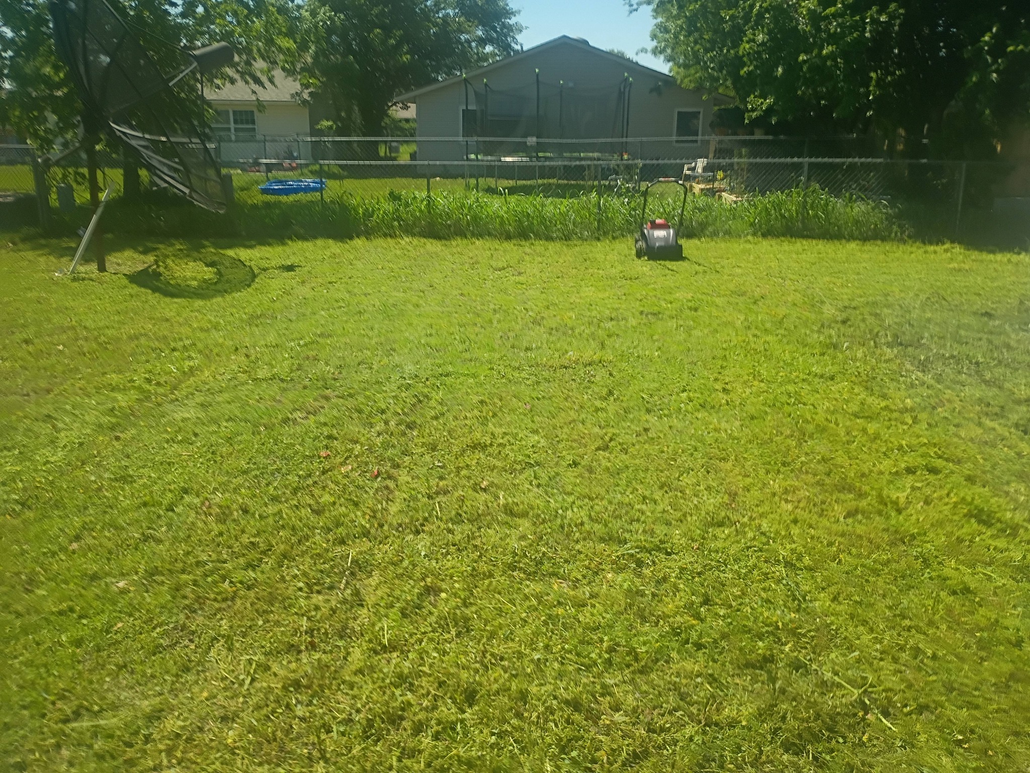 Fresh cut lawn mowing result