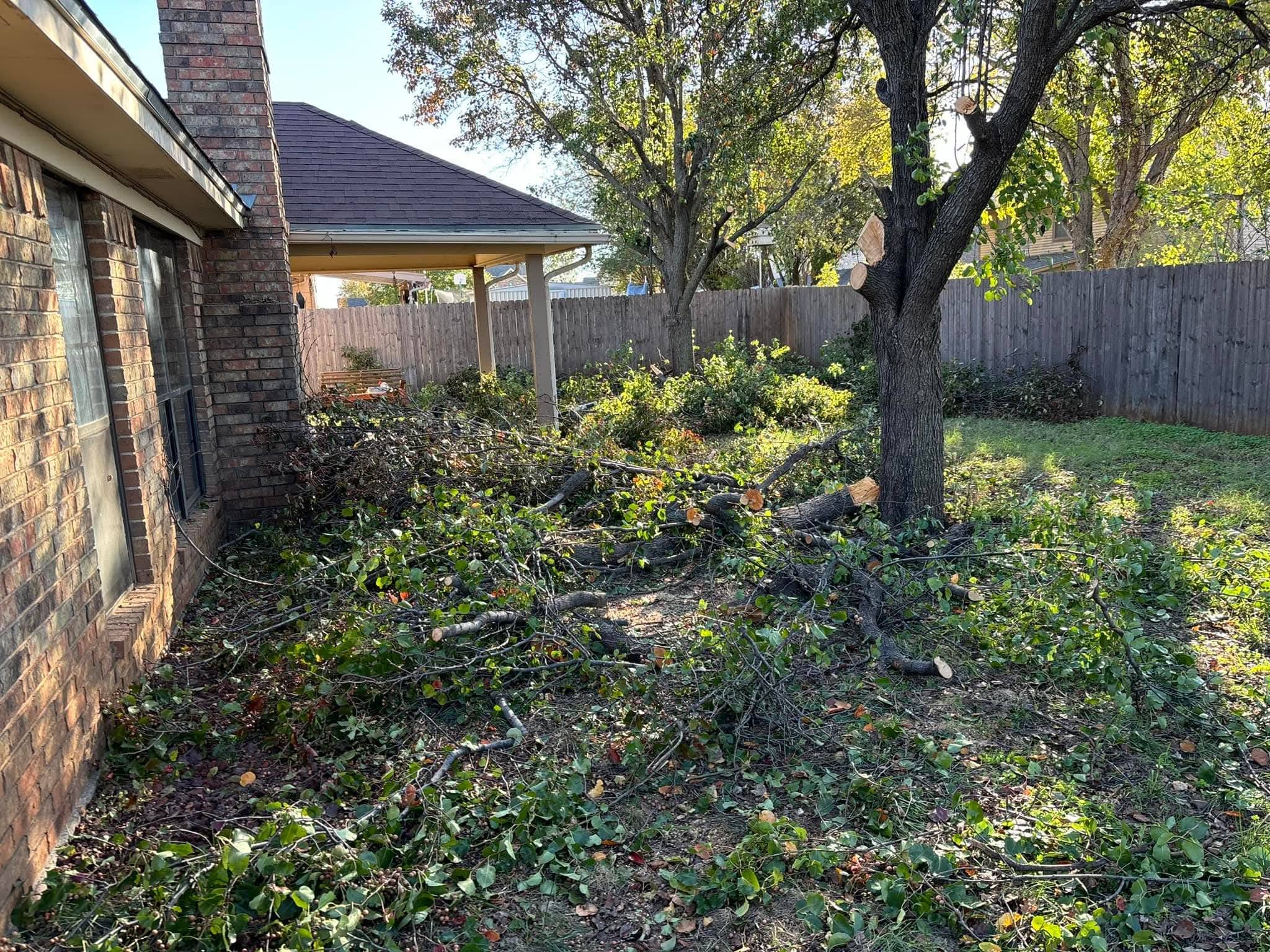 Tree and side yard trimming work