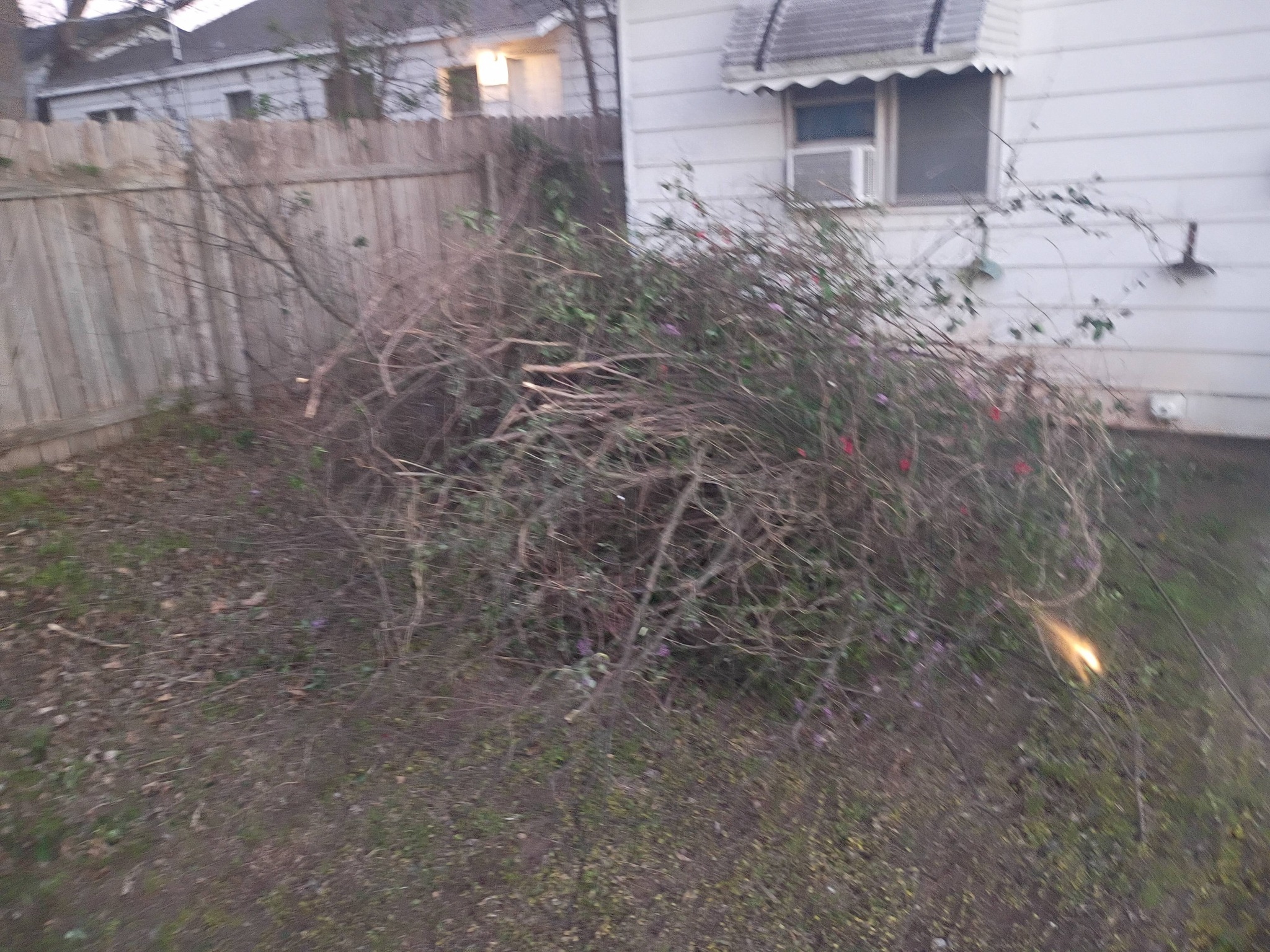 Yard cleanup project before service
